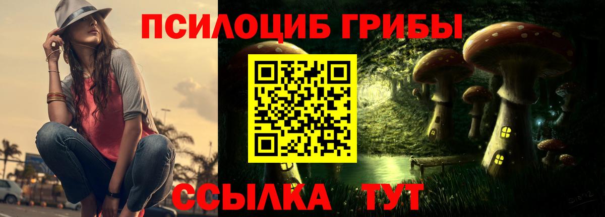 Псилоцибиновые грибы Psilocybine cubensis  Псилоцибиновые грибы GOLDEN TEACHER  Вход с VPN  Ликино-Дулёво 